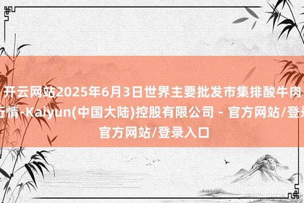 开云网站2025年6月3日世界主要批发市集排酸牛肉价钱行情-Kaiyun(中国大陆)控股有限公司 - 官方网站/登录入口