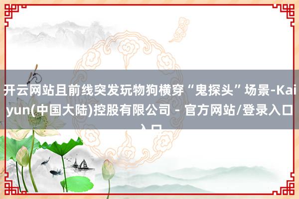 开云网站且前线突发玩物狗横穿“鬼探头”场景-Kaiyun(中国大陆)控股有限公司 - 官方网站/登录入口
